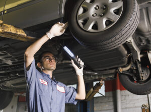 neumaticos-tren-delantero