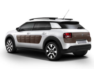 C4Cactus3