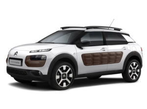 C4Cactus4