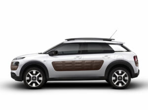 C4Cactus5