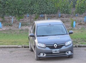 test logan en mendoza