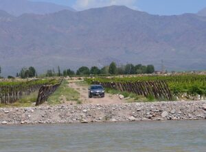 test logan en mendoza