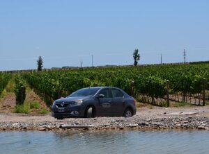 test logan en mendoza