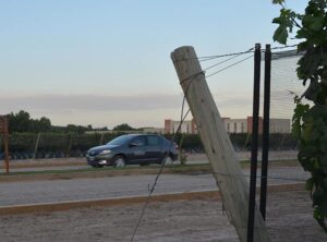 test logan en mendoza