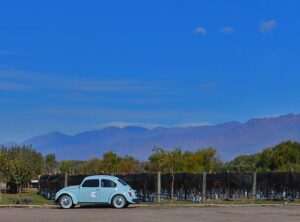 clasicos-mayo-2014-19