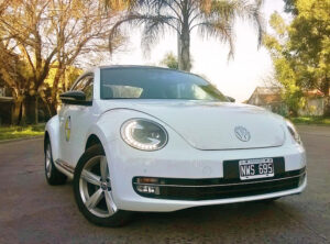 BEETLE