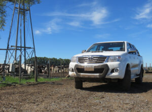 Hilux11