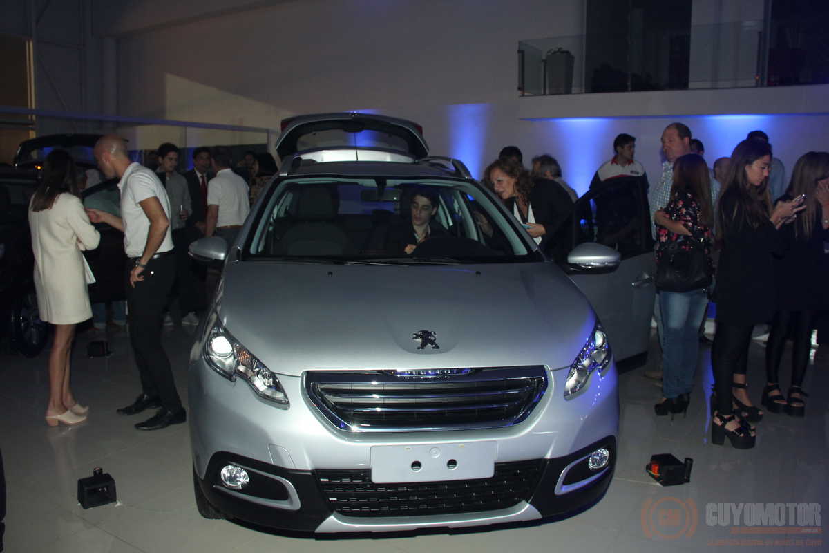 peugeot 2008 agsm 1