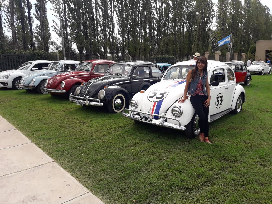 escarabajo beetle mza 20