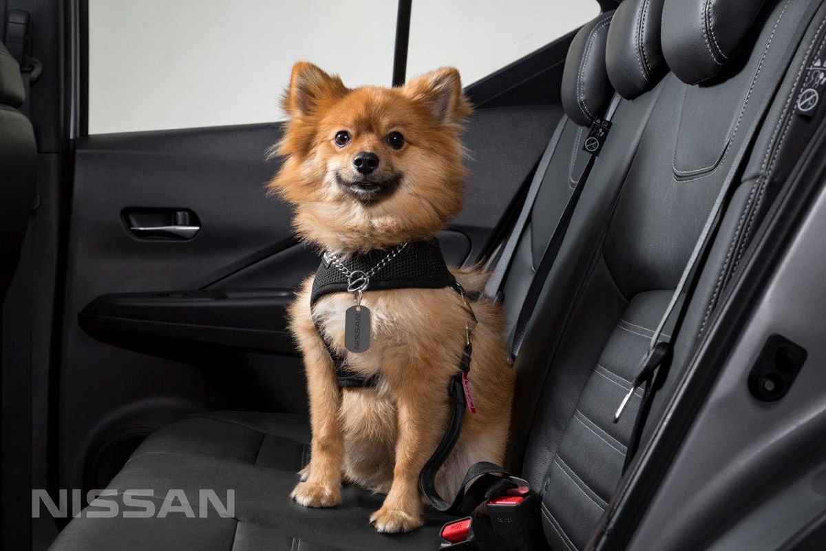 Nissan X-Trail premio SUV para mascotas