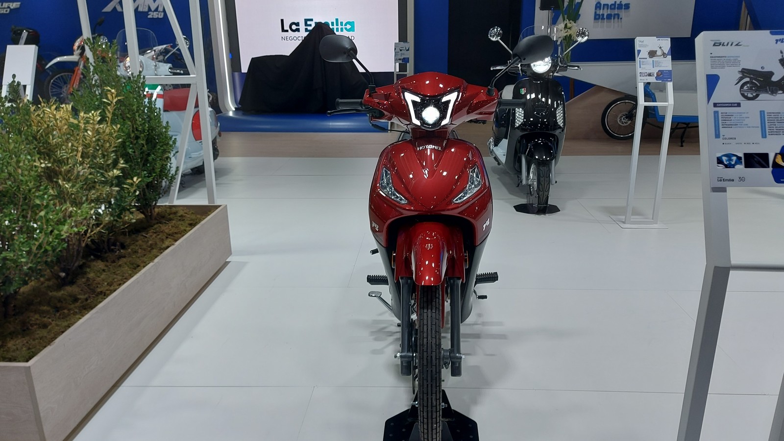 motomel-blitz-roja-nueva-frente