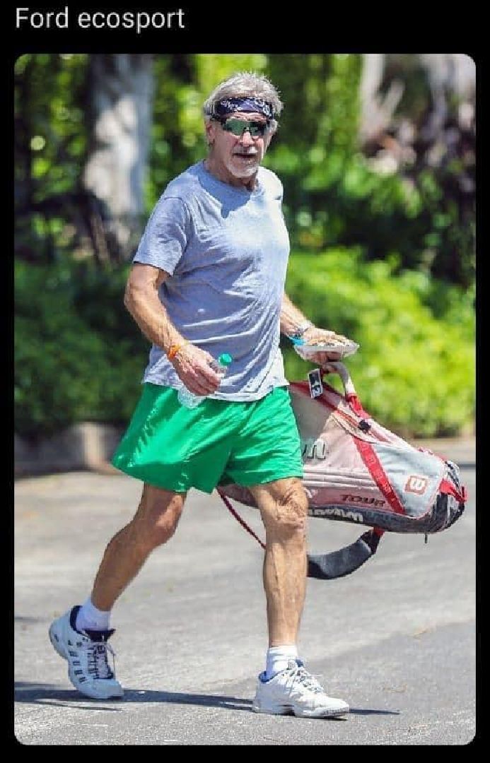 Los mejores memes de Harrison y Ford.