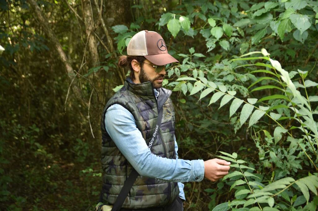 Mercedes-Benz camiones