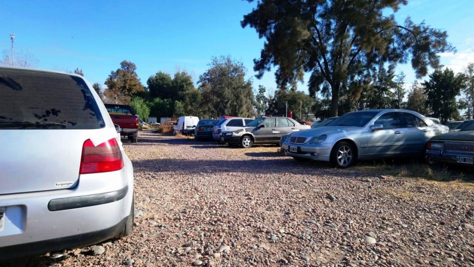 Remate en Cuyo en enero